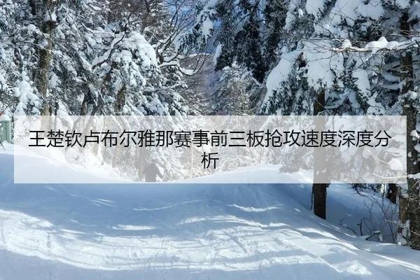 wang-chu-qin-lu-bu-er-ya-na-sai-shi-qian-san-ban-qiang-gong-su-du-shen-du-fen-xi-2-968.jpg